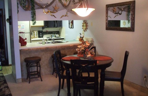 Port Clinton Condo | FABULOUS HARBORSIDE CONDO, FREE 30' DOCK, AWESOME LAKE ERIE SUNSETS, 2 BEDROOMS,