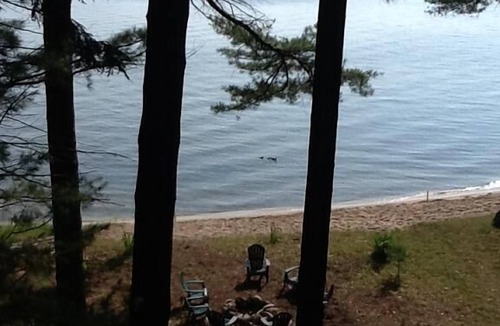 Ludington House | Falconhurst: Cottage on lake near town and dunes!