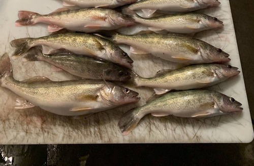 Minnewaukan Cabin | Family friendly or bring the boys for the fishing and hunting
