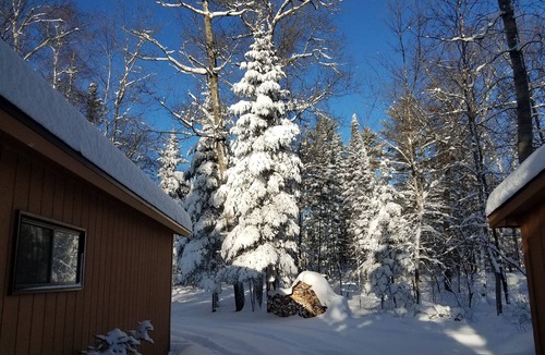 Outing Cabin | Family/pet friendly. Gorgeous views from this stunning wooded lot.