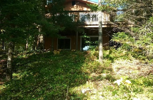 Outing Cabin | Family/pet friendly. Gorgeous views from this stunning wooded lot.