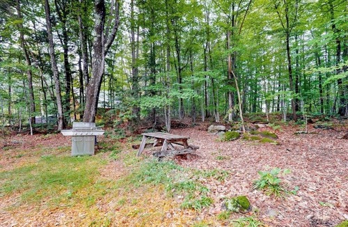 Wayne Cabin | Fantastic retreat close to lake with nearby boat access & private beach - dog OK