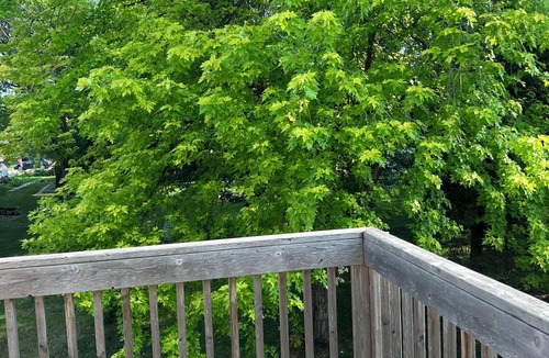 Fargo House | Flickertail cute clean home close to everything quiet neighborhood