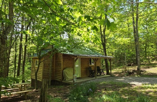 Pittsburg Cabin | Forest Cabin at Sinking Creek. A cozy cabin in the National Forest!