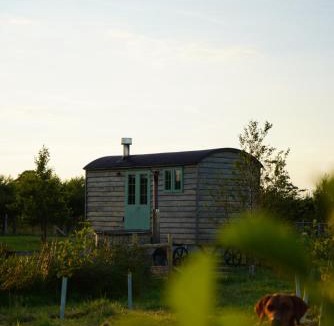 Donaghadee Other | Four Acres Farm
