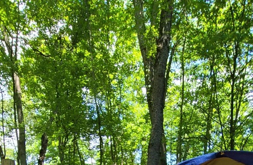 Scottdale RV Rental | FOUR SEASONS LAUREL HIGHLANDS CAMPING