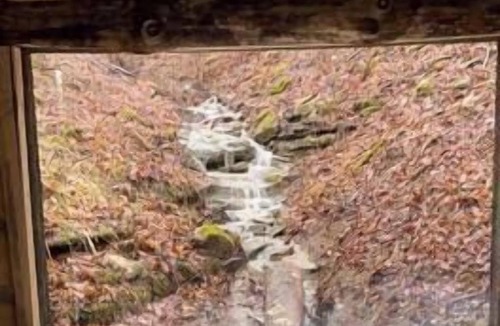 Lynx Cabin | Glamping Cabin | Huge Window | Over a Creek