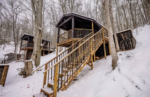 Lynx Cabin | Glamping Cabin | Huge Window | Cliff and Animal Views