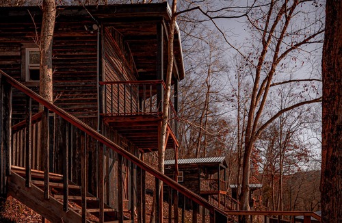 Lynx Cabin | Glamping Cabin | Huge Window | Cliff and Animal Views