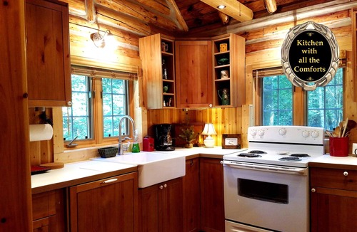 Luzerne Cabin | Gold Fox Lodge - Romantic Riverfront Log Cabin - A Piece of Michigan History!