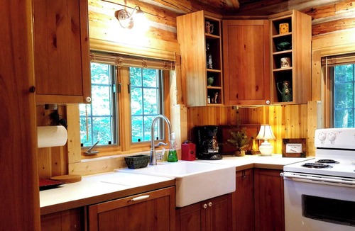 Luzerne Cabin | Gold Fox Lodge - Romantic Riverfront Log Cabin - A Piece of Michigan History!