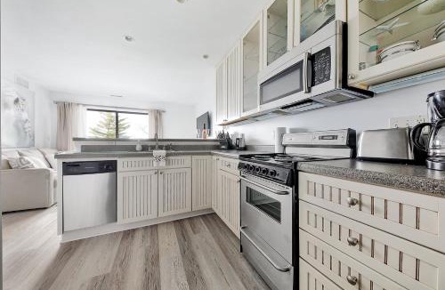 Acme Apartment | Gorgeous 2 Bedroom Lake View Condo