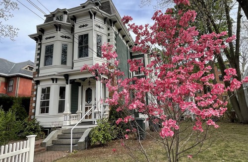 Agassiz House | Gorgeous 4+ br 3.5 ba Harvard mansion: Cambridge Cosmopolitan
