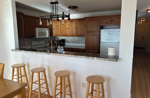 Port Austin Condo | Ground Level Lakefront Condo on Beautiful Lake Huron. Beautiful sunsets!
