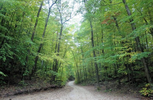 White Cloud RV Rental | Hardy Dam River Retreat located at Sportsman Park Campground & Boat Slips