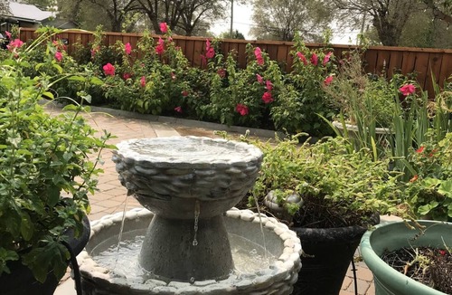 Amarillo House | Hibiscus House Centrally Located In Amarillo