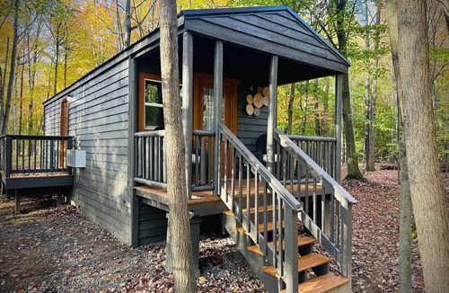 Birch Run Township Cabin | Hidden Oaks Cabin Resort | Lodge Cabin | Unit 3