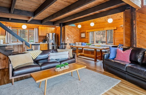 Town of Jerusalem Cottage | Hillside Cabin | On Keuka Lake | FLX