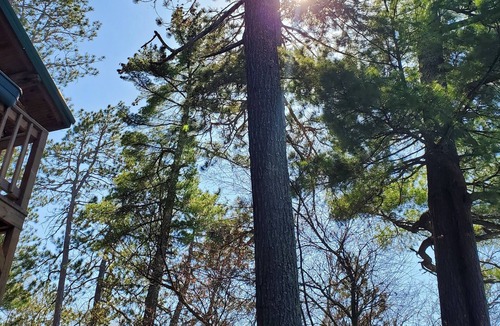Tower Cabin | Historic Lake Vermilion Log Cabin - A Great Outdoors Getaway!