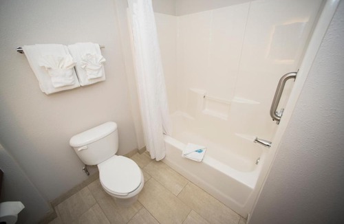 Lexington Hotel | Holiday Inn Express Hotel & Suites Lexington-Downtown University by IHG