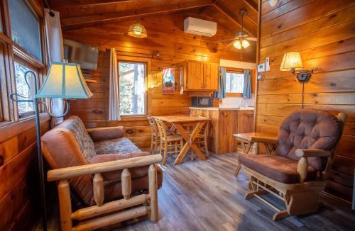 Babbitt House | Honeymoon Cabin - One Bed Retreat - Parking - Netflix CB07