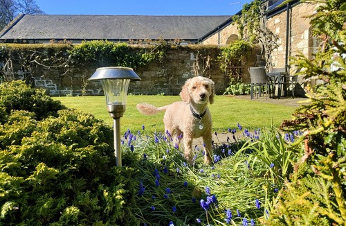 Cramlington Cottage | Honeysuckle Cottage - one‑bedroom, dog‑friendly cottage with countryside feel