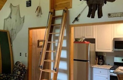 Johannesburg Cottage | Horn HideAway: Wooded Cabin Retreat, Fire Pit, Lake Fun, Cozy, Sleeps 8, Pets!