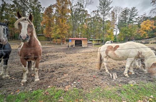 Huntingdon Apartment | ‘John Wayne' Apartment - Deck, BBQ, Horses On-Site