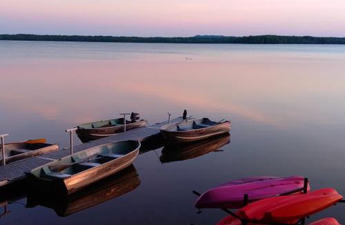 Honor House | Lake Access! Twin Birch Resort - The Brown Bear