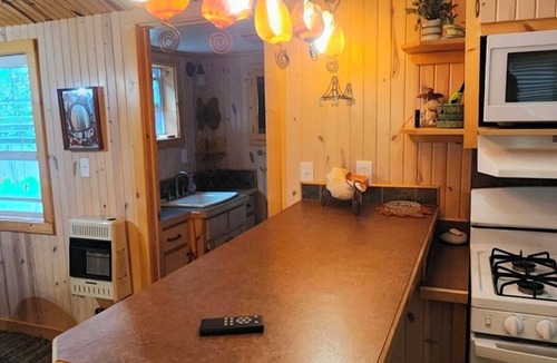 Levering Cabin | Lakefront Cabin on Paradise Lake