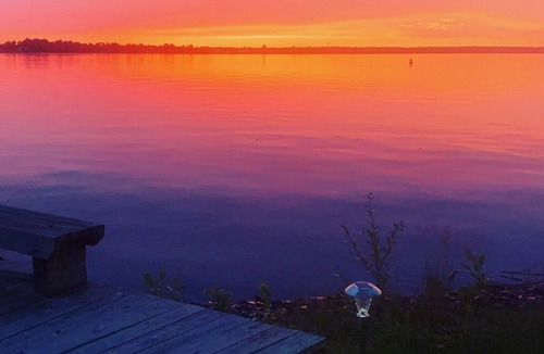 Ranier House | Lakeside Home on Beautiful Rainy Lake in Rainer Proper: Best Location