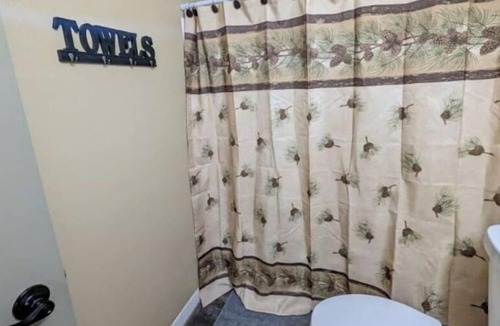 Hill City Apartment | Lakeside Studio with Fireplace & Beautiful View!