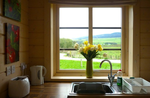 Kirkbean Cottage | Lapwing Lodge - a log chalet that sleeps 4 guests in 2 bedrooms