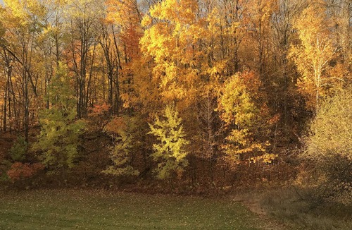 Boyne Falls Resort | ☀️🌺 Large 2 BR suite at Boyne Mountain. 3 NITES. Full kitchen & LR. Sleeps 6.