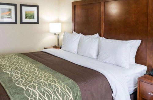 Rochester House | Lavish King Experience! Indoor Pool W/ Hot Tub