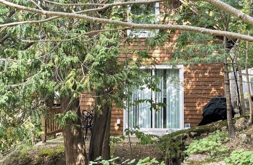 Seal Harbor Cabin | Ledgewood 11 - Hideaway in a natural landscape accessible to hiking trails