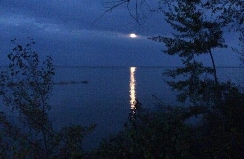 Port Hope Cabin | Lightkeepers Vintage Cottage 7