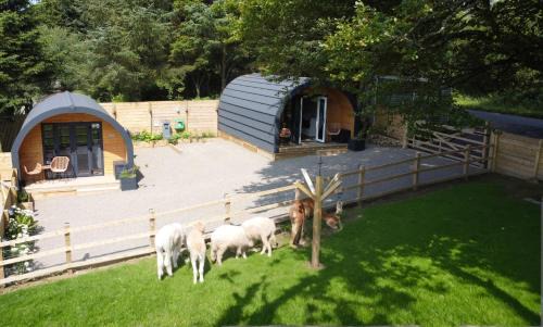 Maybole Apartment | little peru luxury pods and alpaca farm