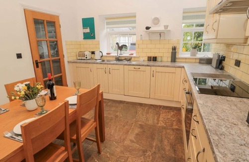 North Sunderland Cottage | Little Tern in Northumberland.