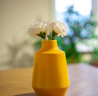 Livingston House | Livi House