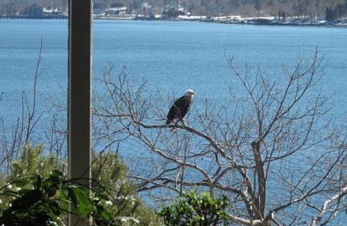 Hulls Cove House | Lookout Point w/Sweeping Views Acadia National Park