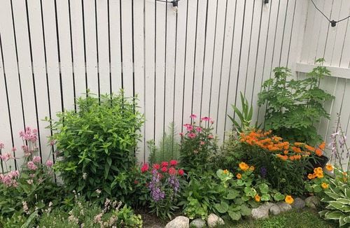 Harbor Springs Cottage | Lovely 2-bedroom cottage in charming Harbor Springs, 5 minute walk to downtown