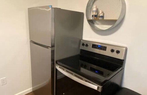 Ludington Apartment | Ludington Ave Suite 3-Blocks from downtown!