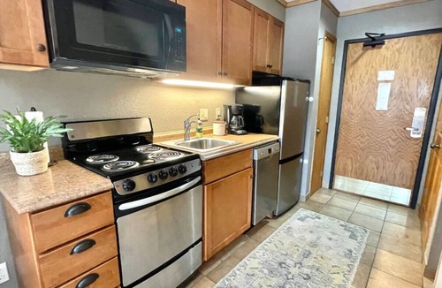 Lutsen Apartment | Lutsen Mtn Ski-In/Ski-Out Studio | Lake & Mtn View
