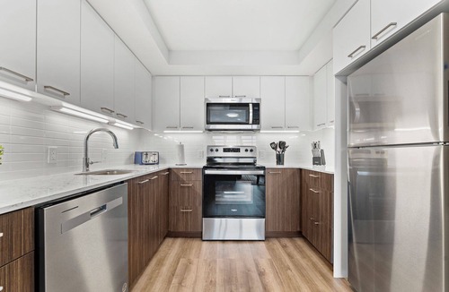 Allston Apartment | Luxury 2bd/2ba near Harvard 8329