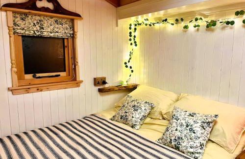 Fort William Ski Chalet | Mòr Braw
