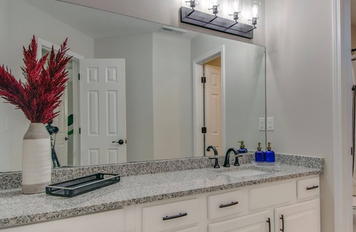 Heron Walk House | Madison Manor | Close to Downtown Fun!