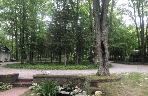 Maple City Cottage | Mccormick Place on Big Glen Lake! Pets allowed. 3 day min after Labor Day.