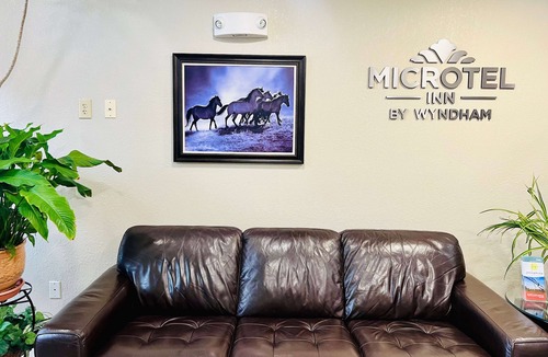 Georgetown Hotel | Microtel Inn by Wyndham Georgetown