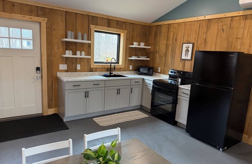 Petoskey Cabin | Modern cabin in the woods- Cabin #5
